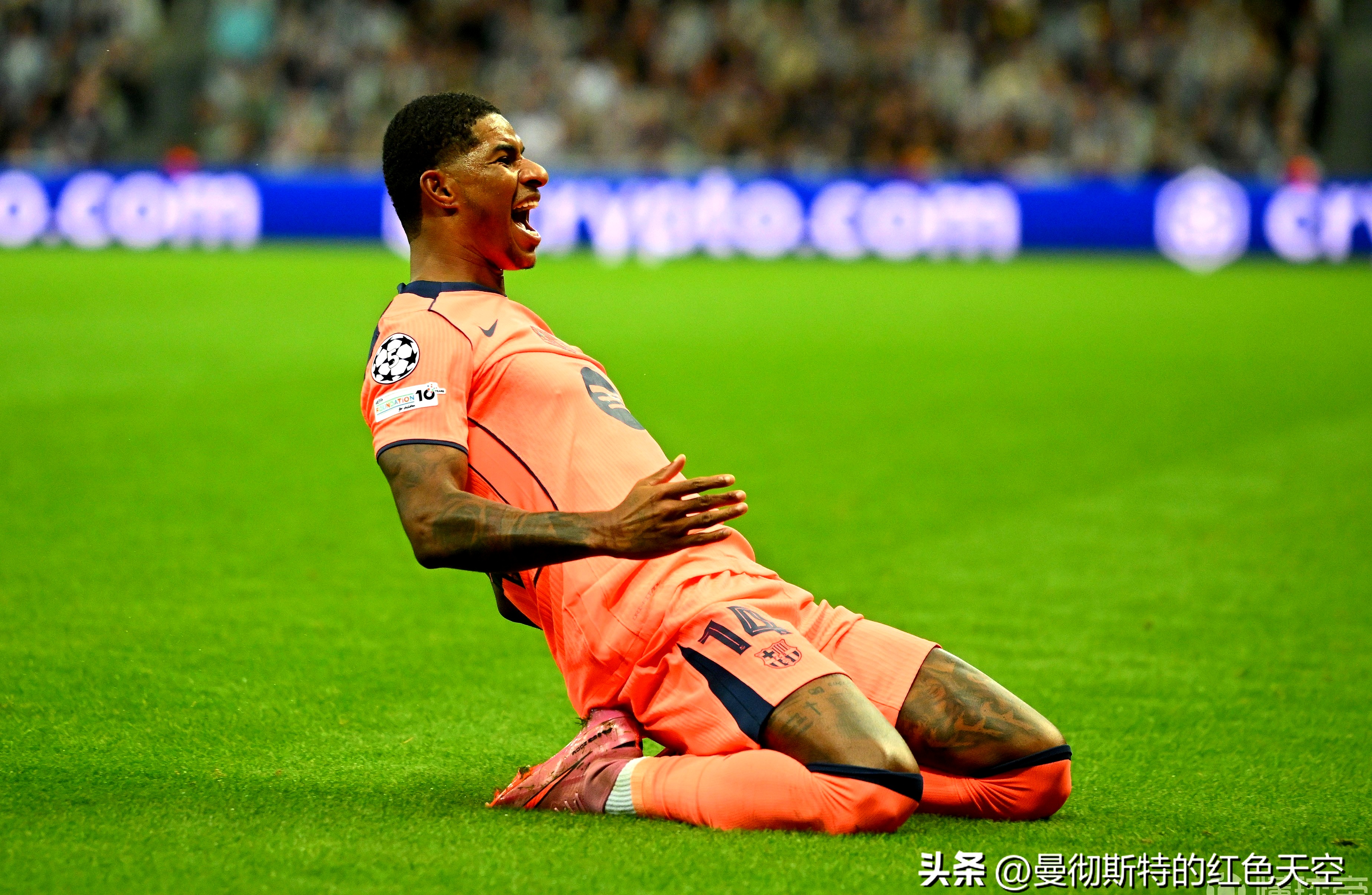 真人娱乐-包含萨克拉门托国王清晨迎来里程碑；志在NBA季后赛名次提升；信心回归；控场能力受关注的词条